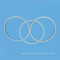 ASMEB16 20 Metal Gasket with Inner Ring PTFE